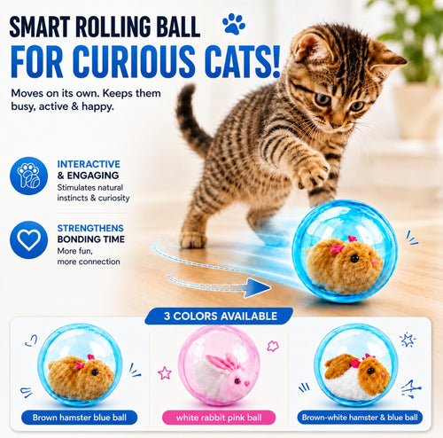Rolling Ball Play For Indoor Cats