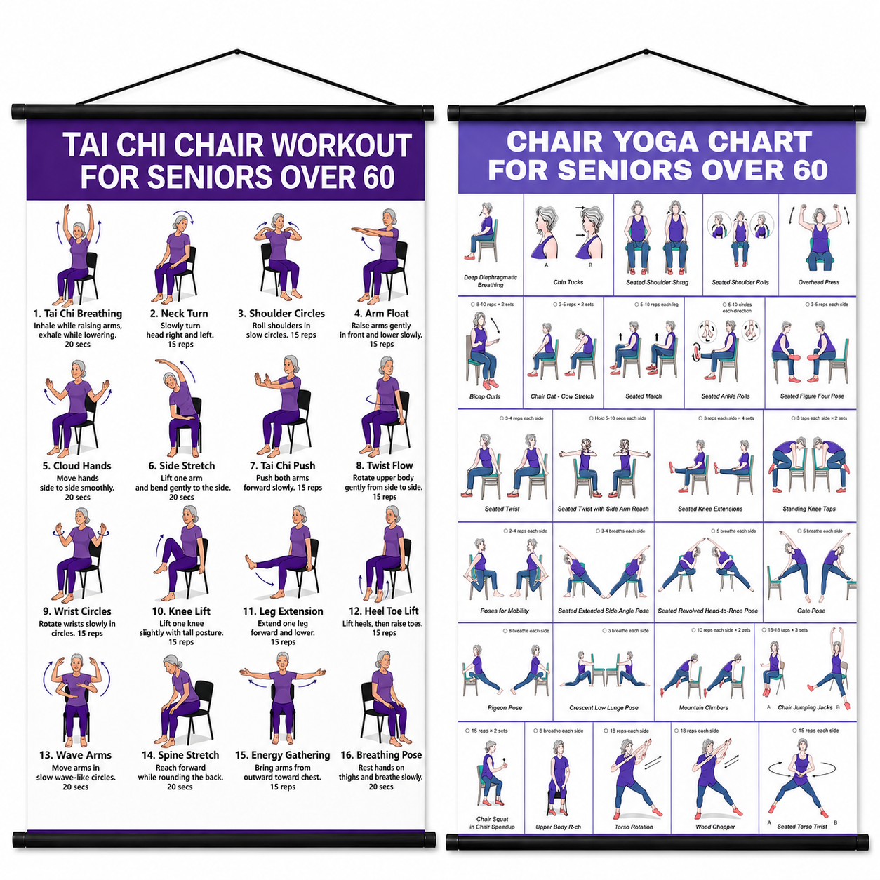Tai Chi Chair Workout Chart for Seniors (16 x 24 inches)