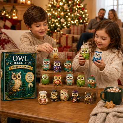 🦉Whimsical Owls Advent Calendar 2026 - 24-Day Festive Countdown, Acrylic Charms Blind Box - Gift For Animal Lovers