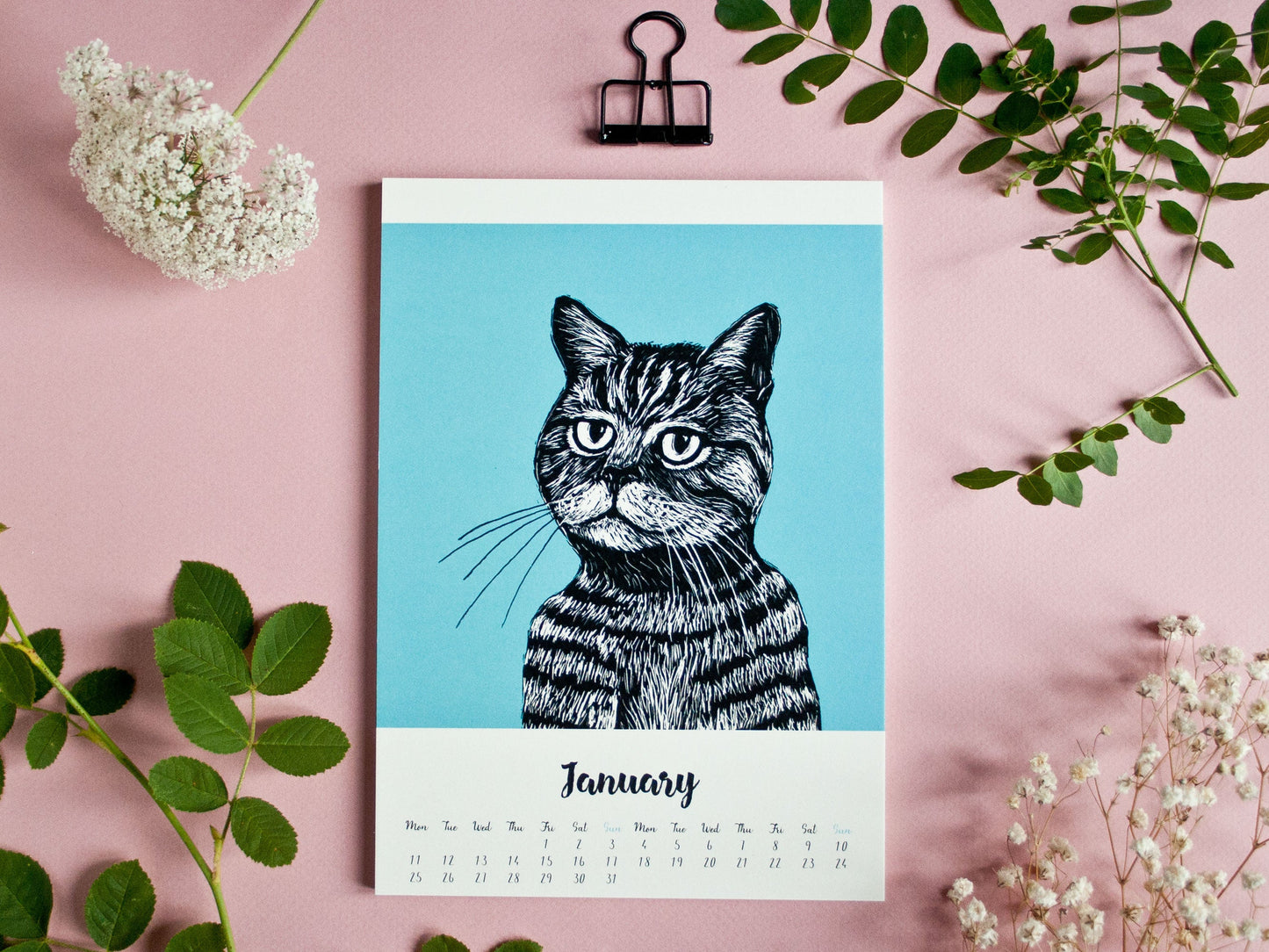 Cat Calendar 2027 Illustrations A5 - english