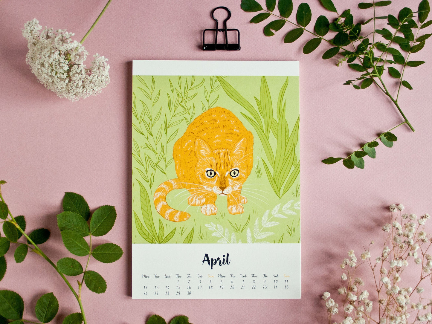 Cat Calendar 2027 Illustrations A5 - english
