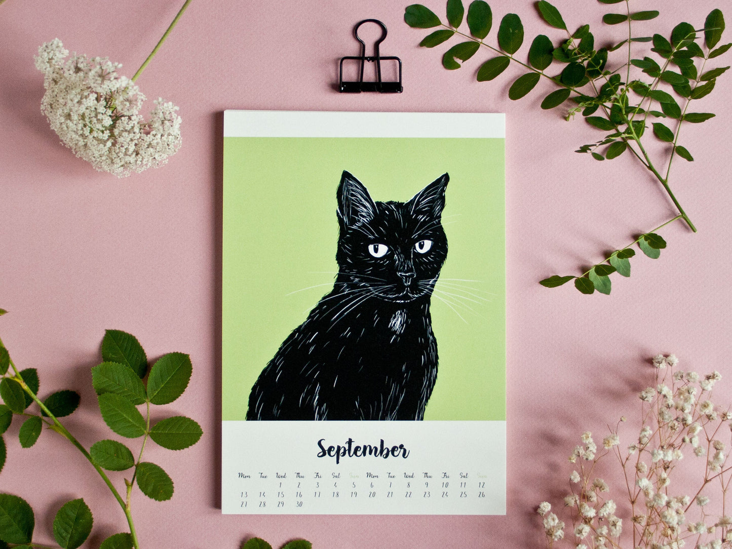 Cat Calendar 2027 Illustrations A5 - english