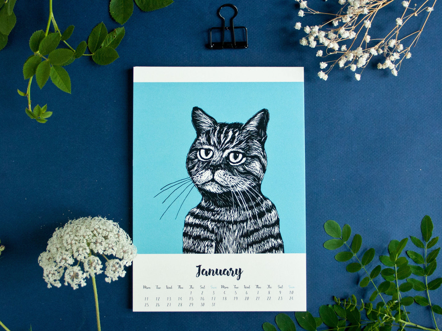 Cat Calendar 2027 Illustrations A5 - english
