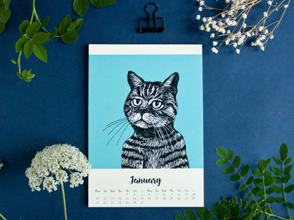 Cat Calendar 2027 Illustrations A5 - english