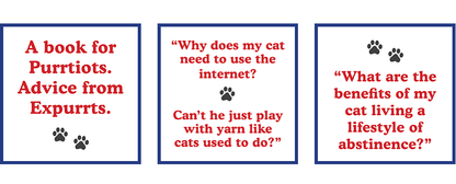 🐈How to Talk to Your Cat About Gun Safety: The Essential Guide for the Modern Concerned Pet Parent 🐾🔫